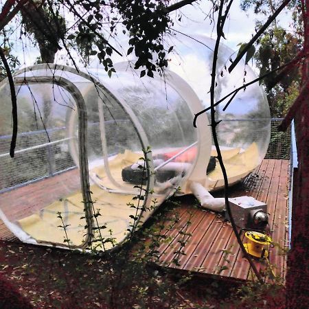 Dans Ma Bulle By C Cibeaulaos Hotell Cilaos Eksteriør bilde