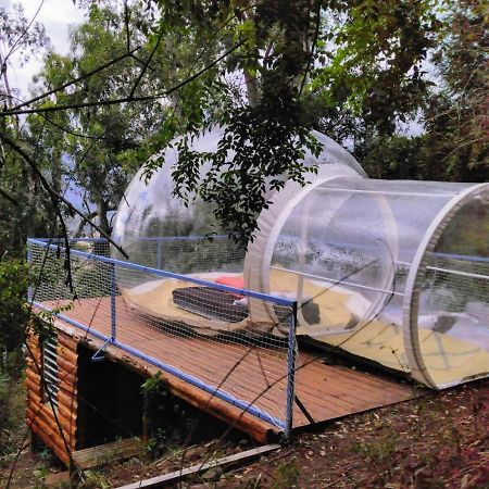 Dans Ma Bulle By C Cibeaulaos Hotell Cilaos Eksteriør bilde