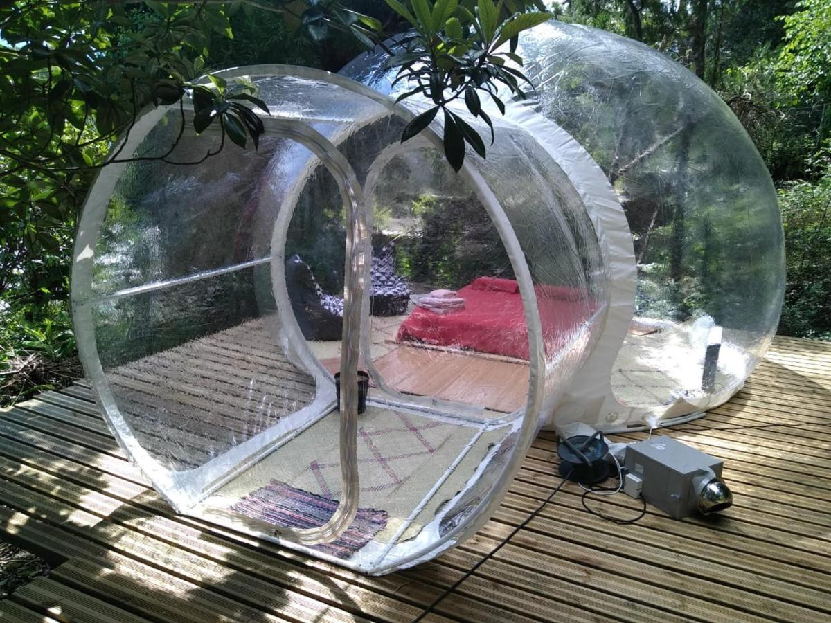 Dans Ma Bulle By C Cibeaulaos Hotell Cilaos Eksteriør bilde