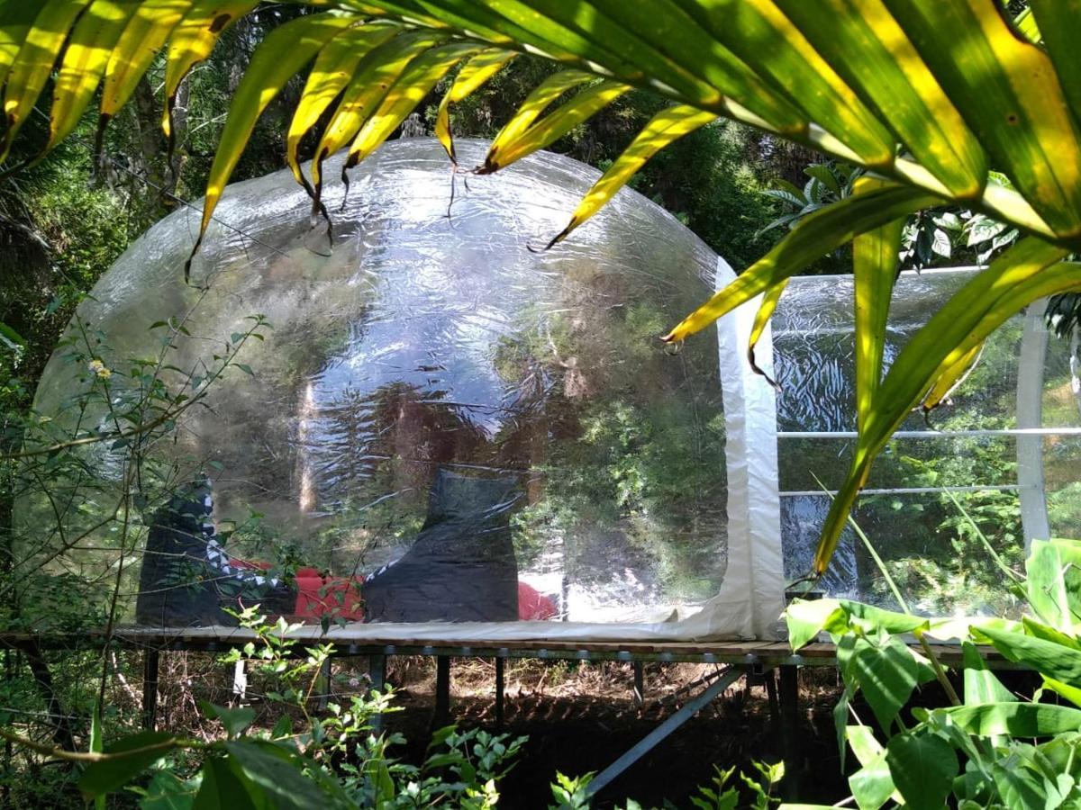 Dans Ma Bulle By C Cibeaulaos Hotell Cilaos Eksteriør bilde