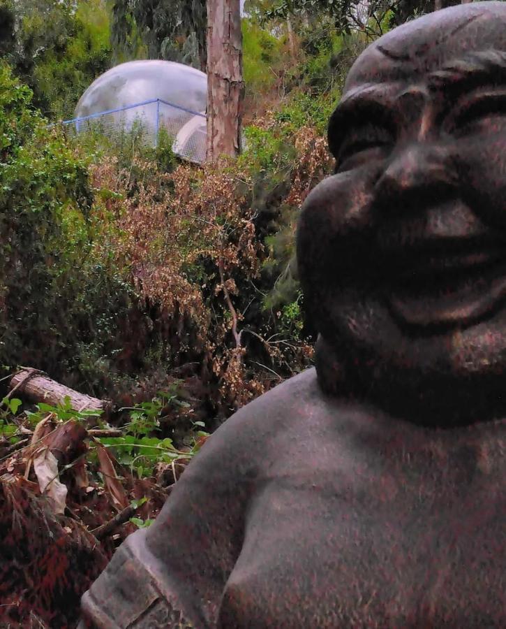 Dans Ma Bulle By C Cibeaulaos Hotell Cilaos Eksteriør bilde