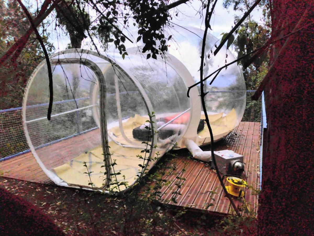 Dans Ma Bulle By C Cibeaulaos Hotell Cilaos Eksteriør bilde